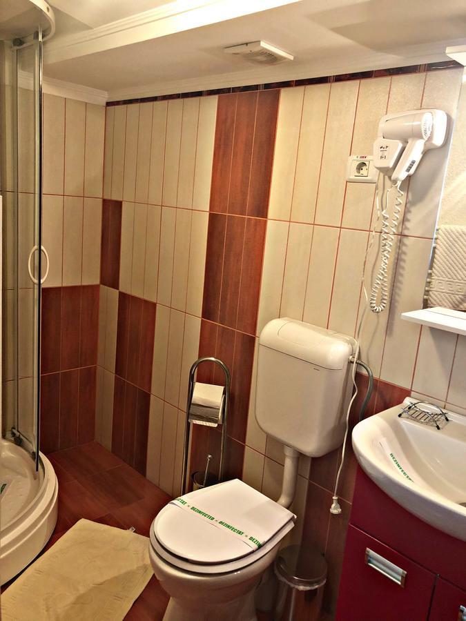 Pensiunea Sofia 3* Timişoara